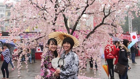 Tuyển chọn Đại sứ thiện chí hoa Anh đào - Ảnh 1. Tuyển chọn Đại sứ thiện chí hoa Anh đào - Ảnh 1.