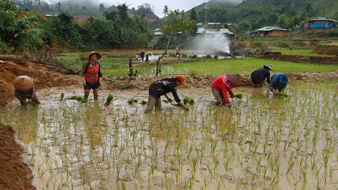 Sau thảm họa sạt lở núi, hồi sinh từ làng mới Khe Chữ - Ảnh 7. Sau thảm họa sạt lở núi, hồi sinh từ làng mới Khe Chữ - Ảnh 7.