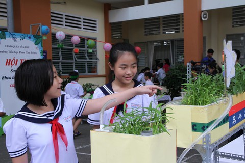 Học sinh tiểu học thiết kế vườn rau sạch trong trường - Ảnh 1. Học sinh tiểu học thiết kế vườn rau sạch trong trường - Ảnh 1.