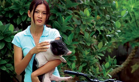 Duyên như heo lên phim - Ảnh 1. Duyên như heo lên phim - Ảnh 1.