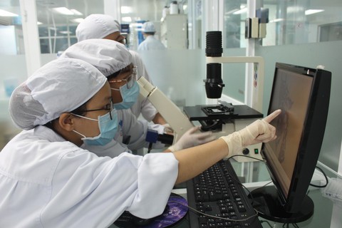 ĐH Quốc gia TP.HCM chuyển giao nhiều nghiên cứu phục vụ cộng đồng - Ảnh 1. ĐH Quốc gia TP.HCM chuyển giao nhiều nghiên cứu phục vụ cộng đồng - Ảnh 1.
