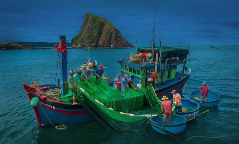 Vũ điệu ra khơi ở Hòn Yến mùa săn cá cơm ngần - Ảnh 3. Vũ điệu ra khơi ở Hòn Yến mùa săn cá cơm ngần - Ảnh 3.