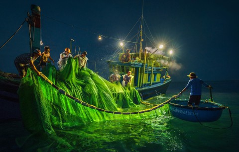 Vũ điệu ra khơi ở Hòn Yến mùa săn cá cơm ngần - Ảnh 5. Vũ điệu ra khơi ở Hòn Yến mùa săn cá cơm ngần - Ảnh 5.