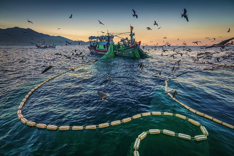 Vũ điệu ra khơi ở Hòn Yến mùa săn cá cơm ngần - Ảnh 6. Vũ điệu ra khơi ở Hòn Yến mùa săn cá cơm ngần - Ảnh 6.