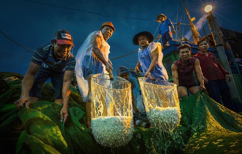 Vũ điệu ra khơi ở Hòn Yến mùa săn cá cơm ngần - Ảnh 8. Vũ điệu ra khơi ở Hòn Yến mùa săn cá cơm ngần - Ảnh 8.