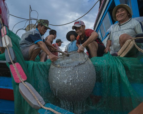 Vũ điệu ra khơi ở Hòn Yến mùa săn cá cơm ngần - Ảnh 9. Vũ điệu ra khơi ở Hòn Yến mùa săn cá cơm ngần - Ảnh 9.
