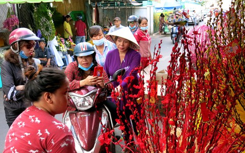 Phố chuyên doanh hoa và ẩm thực Hồ Thị Kỷ hiện dần lên rực rỡ - Ảnh 4. Phố chuyên doanh hoa và ẩm thực Hồ Thị Kỷ hiện dần lên rực rỡ - Ảnh 4.