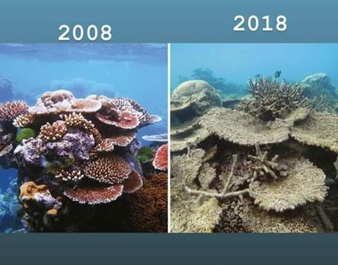 #10yearschallenge: Thiên nhiên đã mất đi thế nào trong 10 năm qua? - Ảnh 4. #10yearschallenge: Thiên nhiên đã mất đi thế nào trong 10 năm qua? - Ảnh 4.