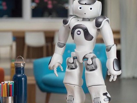 Nhật Bản thử nghiệm robot hỗ trợ người dân ở tòa thị chính - Ảnh 1. Nhật Bản thử nghiệm robot hỗ trợ người dân ở tòa thị chính - Ảnh 1.