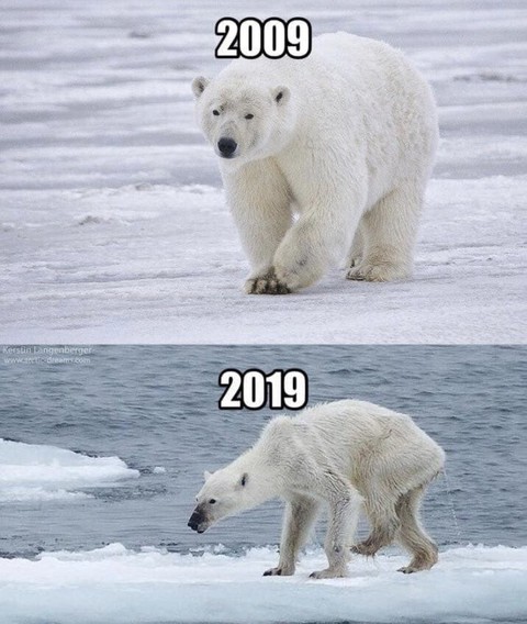 #10yearschallenge: Thiên nhiên đã mất đi thế nào trong 10 năm qua? - Ảnh 3. #10yearschallenge: Thiên nhiên đã mất đi thế nào trong 10 năm qua? - Ảnh 3.