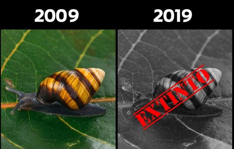 #10yearschallenge: Thiên nhiên đã mất đi thế nào trong 10 năm qua? - Ảnh 7. #10yearschallenge: Thiên nhiên đã mất đi thế nào trong 10 năm qua? - Ảnh 7.