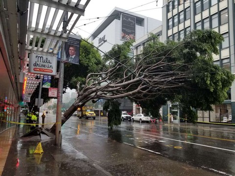 5 người thiệt mạng do mưa tuyết ở California - Ảnh 2. 5 người thiệt mạng do mưa tuyết ở California - Ảnh 2.