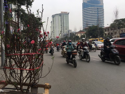 Tết nguyên đán trời sẽ đẹp, se lạnh, ủng hộ du xuân - Ảnh 1. Tết nguyên đán trời sẽ đẹp, se lạnh, ủng hộ du xuân - Ảnh 1.
