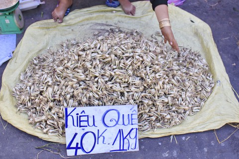 Bạn trẻ Sài Gòn rực rỡ đón xuân trên phố Ông đồ - Ảnh 5. Bạn trẻ Sài Gòn rực rỡ đón xuân trên phố Ông đồ - Ảnh 5.