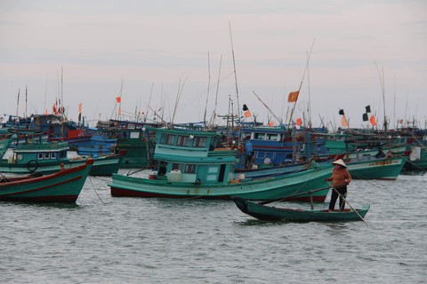 Miền Tây căng sức ứng phó bão số 1 - Ảnh 4. Miền Tây căng sức ứng phó bão số 1 - Ảnh 4.