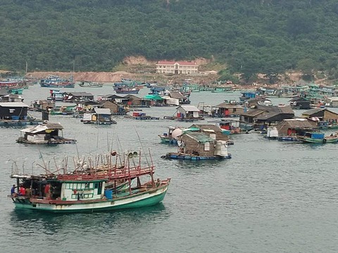 Miền Tây căng sức ứng phó bão số 1 - Ảnh 2. Miền Tây căng sức ứng phó bão số 1 - Ảnh 2.
