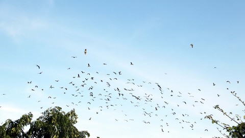 Sự quái lạ của lão nông Hai Chìa - Ảnh 3. Sự quái lạ của lão nông Hai Chìa - Ảnh 3.