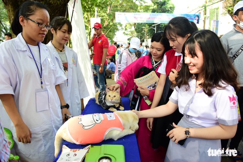 Học sinh hào hứng trải nghiệm tại ngày hội tư vấn tuyển sinh - Ảnh 5. Học sinh hào hứng trải nghiệm tại ngày hội tư vấn tuyển sinh - Ảnh 5.