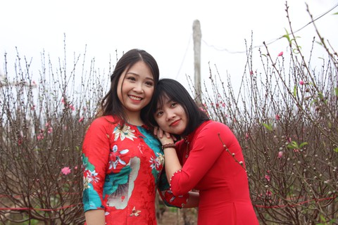 Thiếu nữ diện áo dài khoe sắc bên hoa đào đón tết Hà Nội - Ảnh 3. Thiếu nữ diện áo dài khoe sắc bên hoa đào đón tết Hà Nội - Ảnh 3.