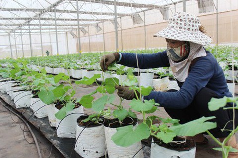 Điều tra các sai phạm ở Sở khoa học-công nghệ Đồng Nai - Ảnh 1. Điều tra các sai phạm ở Sở khoa học-công nghệ Đồng Nai - Ảnh 1.