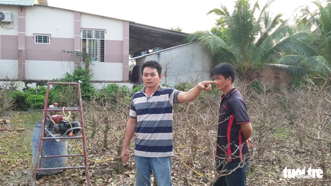 Tưới mai tết, một cụ ông 90 tuổi bị điện giật chết - Ảnh 1. Tưới mai tết, một cụ ông 90 tuổi bị điện giật chết - Ảnh 1.