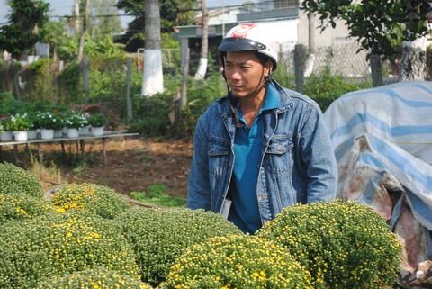 Hoa Sa Đéc rời giàn, nông dân vui vì giá tăng 10% - Ảnh 3. Hoa Sa Đéc rời giàn, nông dân vui vì giá tăng 10% - Ảnh 3.
