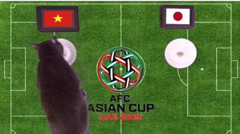 Mèo tiên tri Cass the Cat dự đoán: Việt Nam chiến thắng - Ảnh 1. Mèo tiên tri Cass the Cat dự đoán: Việt Nam chiến thắng - Ảnh 1.