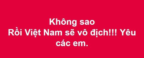 Cư dân mạng hối tuyển Việt Nam nhanh về ăn tết - Ảnh 15. Cư dân mạng hối tuyển Việt Nam nhanh về ăn tết - Ảnh 15.