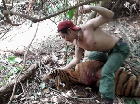 Thái Lan bắt 2 người Việt nghi săn trộm hổ quý - Ảnh 1. Thái Lan bắt 2 người Việt nghi săn trộm hổ quý - Ảnh 1.