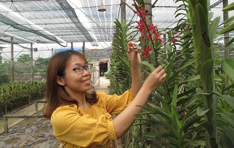Vườn hoa của những nhà nông trẻ - Ảnh 1. Vườn hoa của những nhà nông trẻ - Ảnh 1.