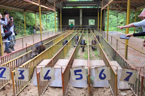 Khánh Hoà đã hết phòng khách sạn 3 - 5 sao dịp lễ 30-4 và 1-5 - Ảnh 2. Khánh Hoà đã hết phòng khách sạn 3 - 5 sao dịp lễ 30-4 và 1-5 - Ảnh 2.