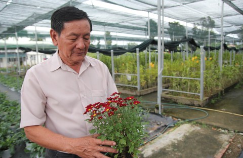 làng hoa sa đéc làng hoa sa đéc