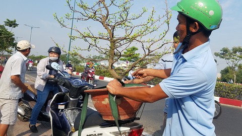 Mai tết Sài Gòn hối hả lên máy bay Bắc tiến - Ảnh 1. Mai tết Sài Gòn hối hả lên máy bay Bắc tiến - Ảnh 1.