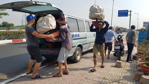 Mai tết Sài Gòn hối hả lên máy bay Bắc tiến - Ảnh 4. Mai tết Sài Gòn hối hả lên máy bay Bắc tiến - Ảnh 4.