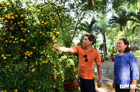 TP.HCM những ngày trên bến - dưới thuyền - công viên ngập hoa, kiểng - Ảnh 1. TP.HCM những ngày trên bến - dưới thuyền - công viên ngập hoa, kiểng - Ảnh 1.