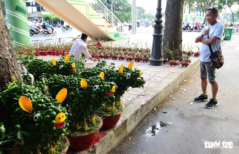TP.HCM những ngày trên bến - dưới thuyền - công viên ngập hoa, kiểng - Ảnh 5. TP.HCM những ngày trên bến - dưới thuyền - công viên ngập hoa, kiểng - Ảnh 5.