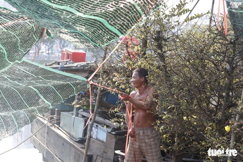 TP.HCM những ngày trên bến - dưới thuyền - công viên ngập hoa, kiểng - Ảnh 9. TP.HCM những ngày trên bến - dưới thuyền - công viên ngập hoa, kiểng - Ảnh 9.