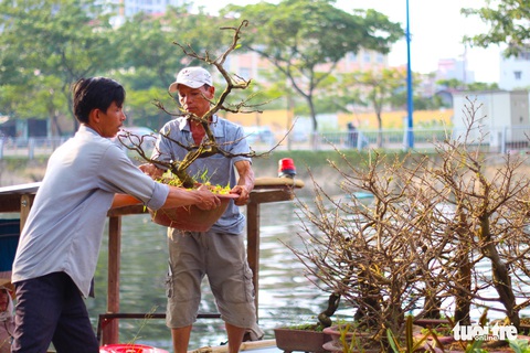 TP.HCM những ngày trên bến - dưới thuyền - công viên ngập hoa, kiểng - Ảnh 10. TP.HCM những ngày trên bến - dưới thuyền - công viên ngập hoa, kiểng - Ảnh 10.