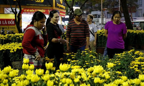 Hoa tết đổ về TP.HCM, nhà vườn mong người thành phố vui vẻ mua sớm - Ảnh 2. Hoa tết đổ về TP.HCM, nhà vườn mong người thành phố vui vẻ mua sớm - Ảnh 2.