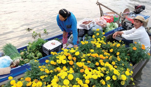Để không còn...ngán Tết - Ảnh 2. Để không còn...ngán Tết - Ảnh 2.