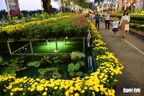 Đàn heo vàng xuất hiện tại hội chợ hoa xuân Phú Mỹ Hưng - Ảnh 3. Đàn heo vàng xuất hiện tại hội chợ hoa xuân Phú Mỹ Hưng - Ảnh 3.