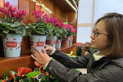 Hoa 3 miền tỏa các nơi chờ đón tết - Ảnh 2. Hoa 3 miền tỏa các nơi chờ đón tết - Ảnh 2.