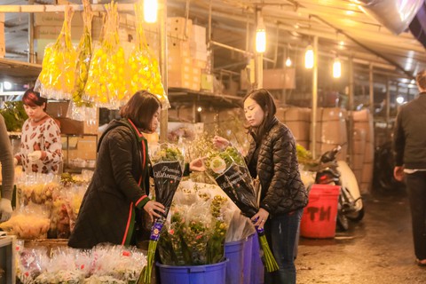 Đêm không ngủ những ngày giáp Tết ở chợ hoa Quảng An - Ảnh 15. Đêm không ngủ những ngày giáp Tết ở chợ hoa Quảng An - Ảnh 15.