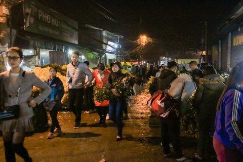 Đêm không ngủ những ngày giáp Tết ở chợ hoa Quảng An - Ảnh 14. Đêm không ngủ những ngày giáp Tết ở chợ hoa Quảng An - Ảnh 14.
