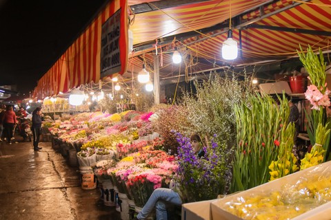 Đêm không ngủ những ngày giáp Tết ở chợ hoa Quảng An - Ảnh 6. Đêm không ngủ những ngày giáp Tết ở chợ hoa Quảng An - Ảnh 6.