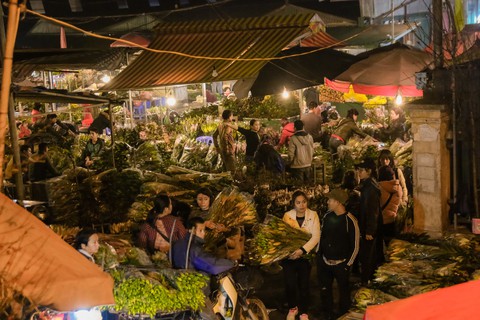 Đêm không ngủ những ngày giáp Tết ở chợ hoa Quảng An - Ảnh 5. Đêm không ngủ những ngày giáp Tết ở chợ hoa Quảng An - Ảnh 5.