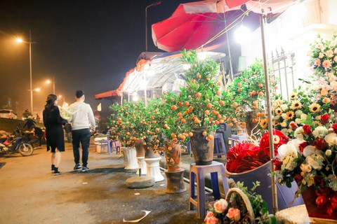 Đêm không ngủ những ngày giáp Tết ở chợ hoa Quảng An - Ảnh 7. Đêm không ngủ những ngày giáp Tết ở chợ hoa Quảng An - Ảnh 7.