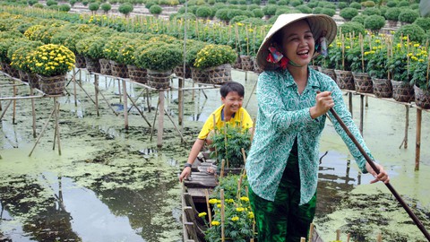 Thăng trầm làng hoa Sa Đéc - Kỳ 5: Đưa hoa lên giàn - Ảnh 3. Thăng trầm làng hoa Sa Đéc - Kỳ 5: Đưa hoa lên giàn - Ảnh 3.
