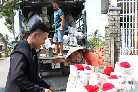 Hàng triệu giỏ hoa Mỹ Tho đang đổ về Sài Gòn, Bình Dương, Tây Ninh... - Ảnh 7. Hàng triệu giỏ hoa Mỹ Tho đang đổ về Sài Gòn, Bình Dương, Tây Ninh... - Ảnh 7.