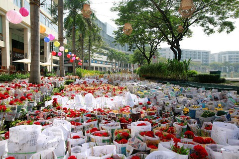 Háo hức khai mạc Hội chợ hoa xuân Phú Mỹ Hưng - Ảnh 1. Háo hức khai mạc Hội chợ hoa xuân Phú Mỹ Hưng - Ảnh 1.